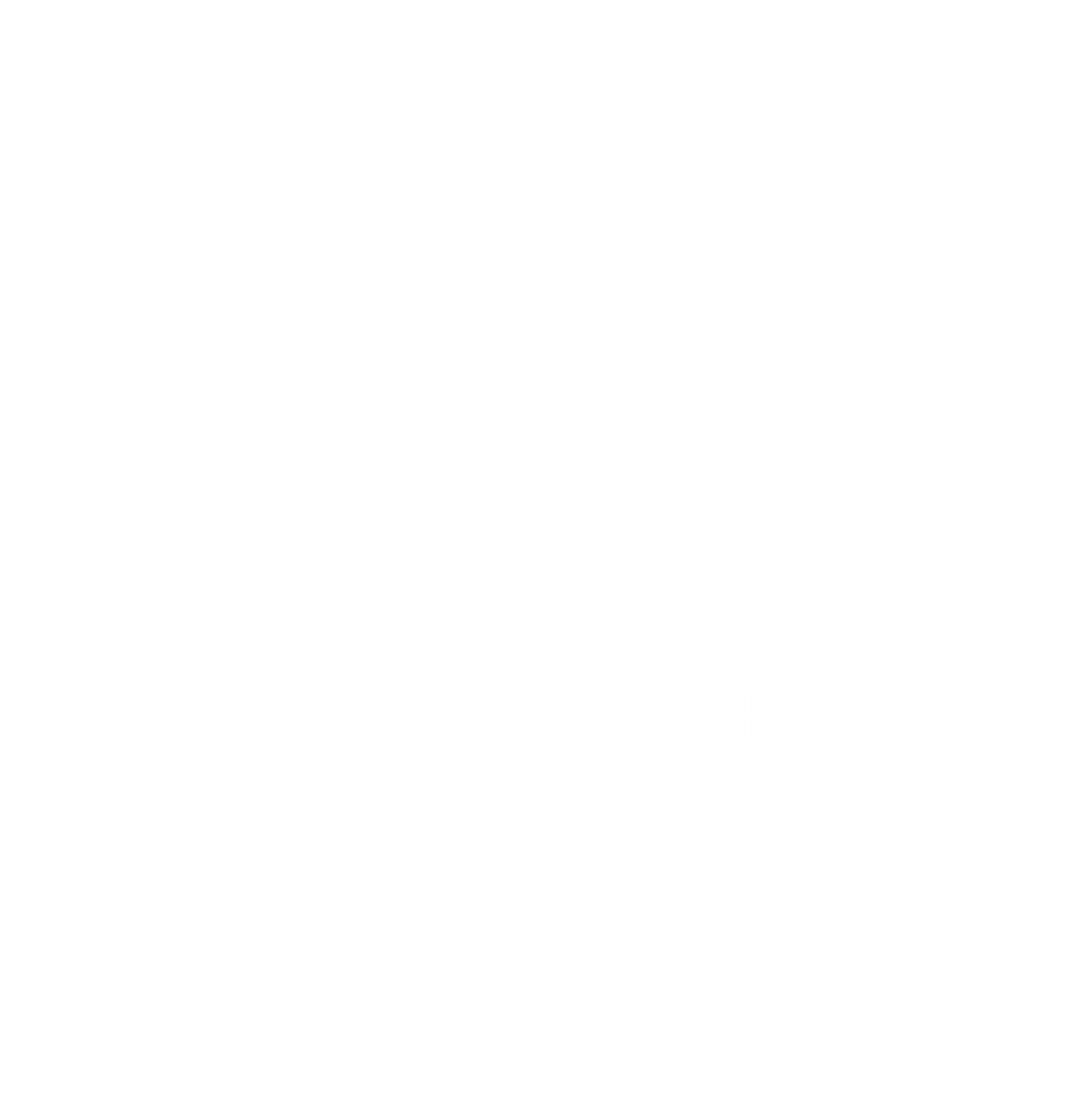 Livvo Hotels Group