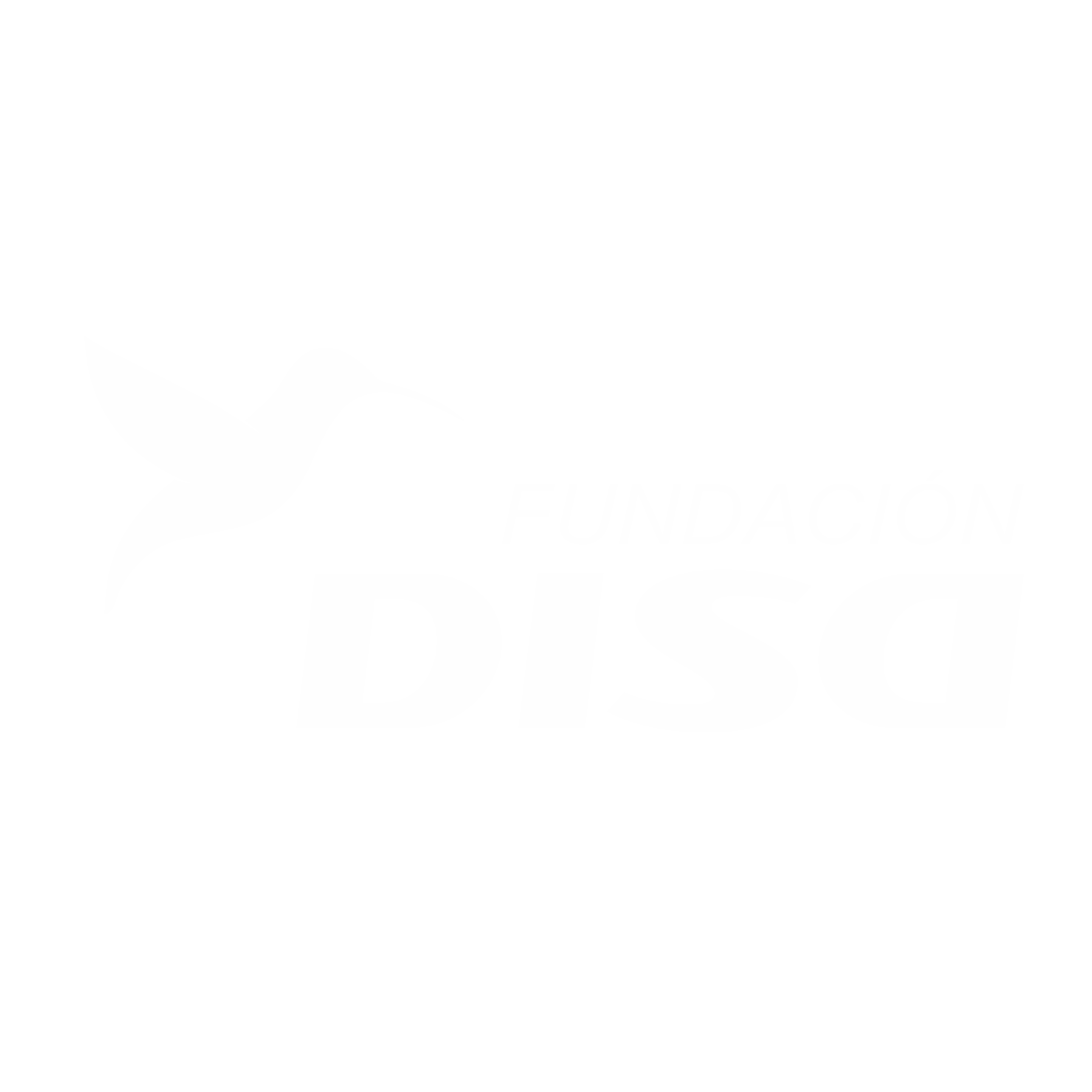 Fundación DISA