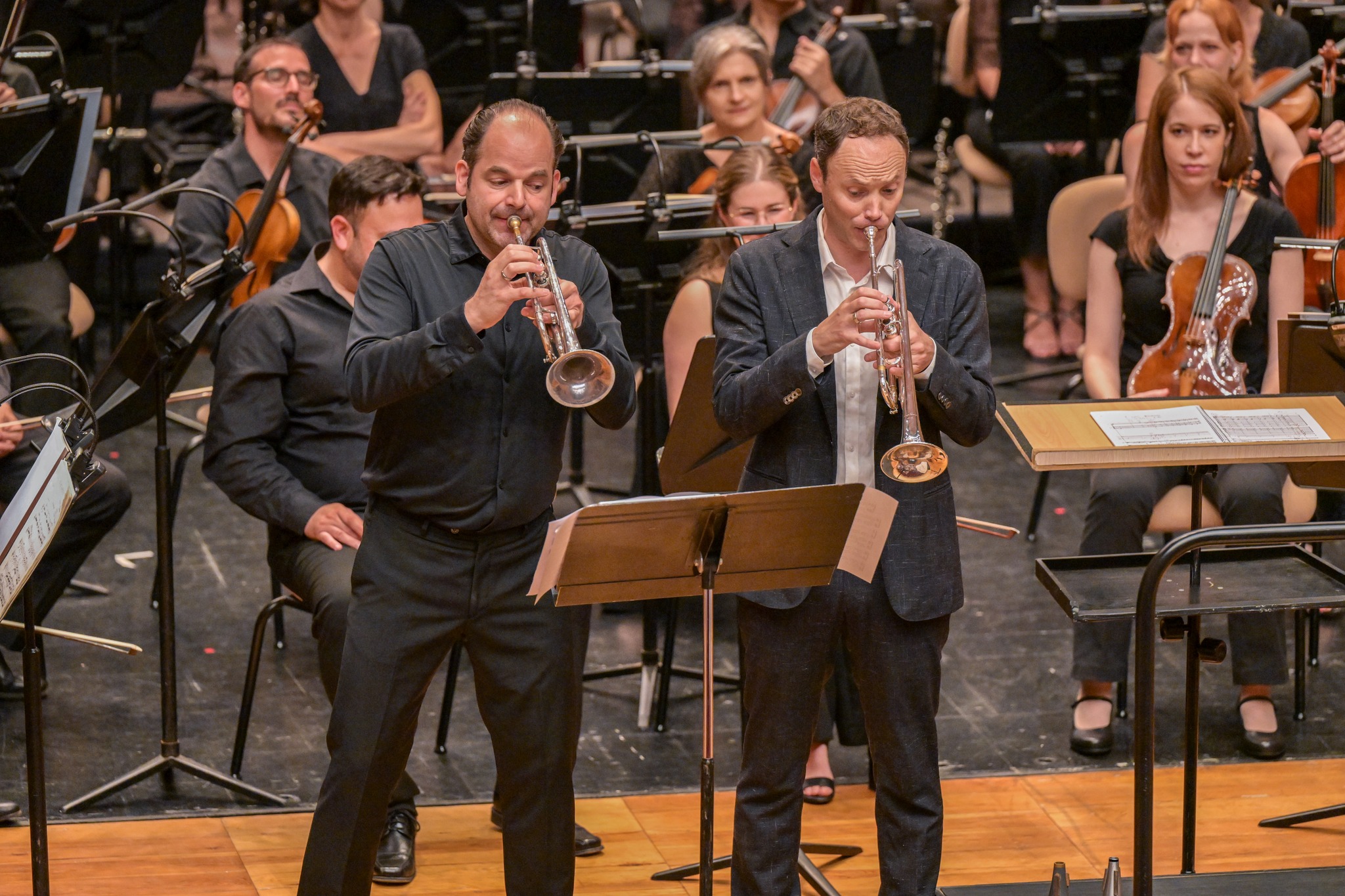 Conciertos y actividades del MITF 2025